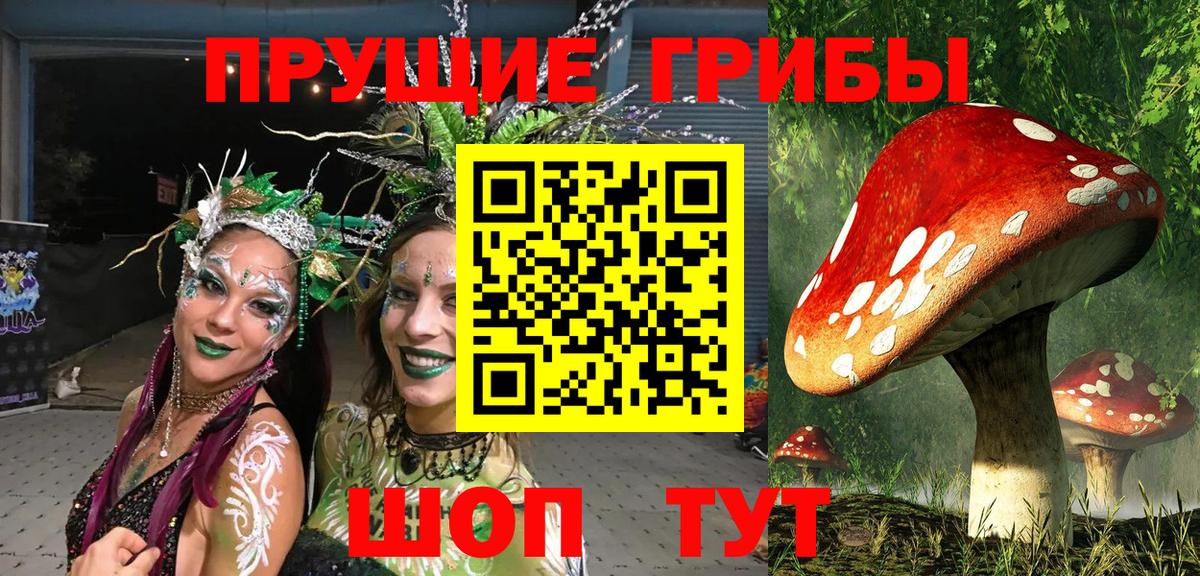 Галлюциногенные грибы MAGIC MUSHROOMS Саяногорск