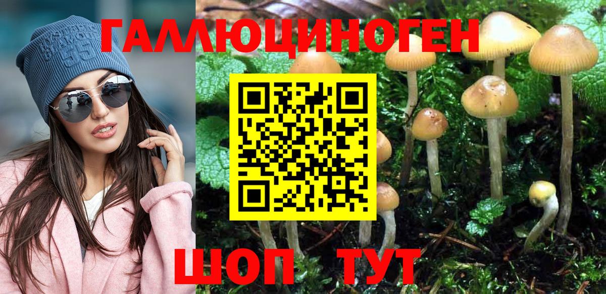 Саяногорск  Галлюциногенные грибы мухоморы  Псилоцибиновые грибы Psilocybe  Вход с VPN 